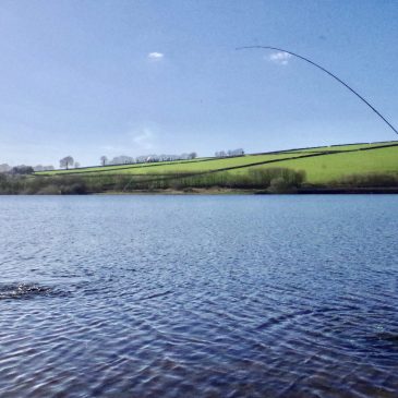 Using the wind as a friend, a guide to bank fishing at Wimbleball